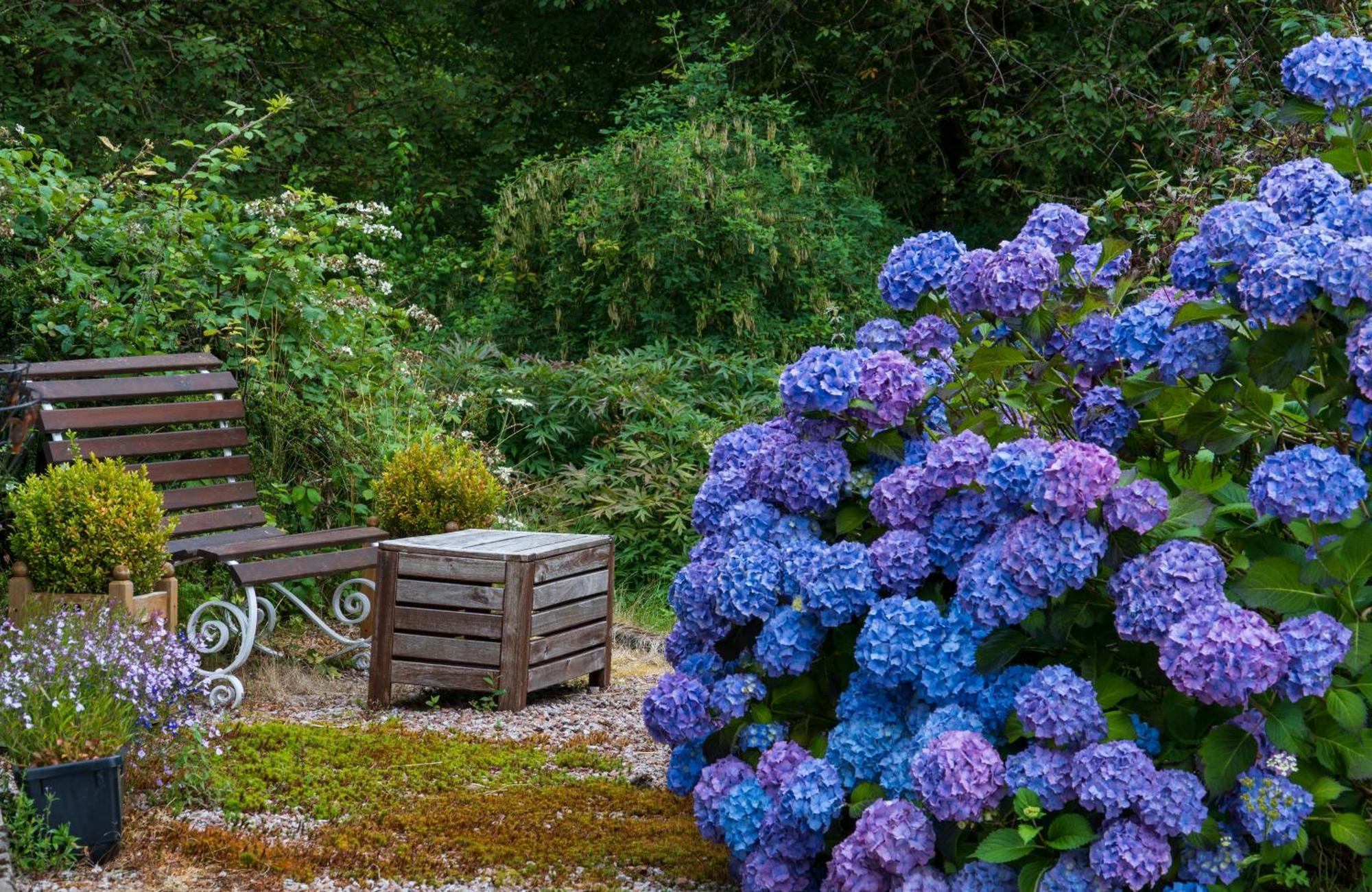 Killean Farmhouse B&B Inveraray Exterior foto